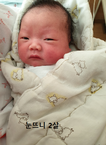  세는 나이(K-나이)&연 나이, 만 나이로 통일_음주 가능 나이는?