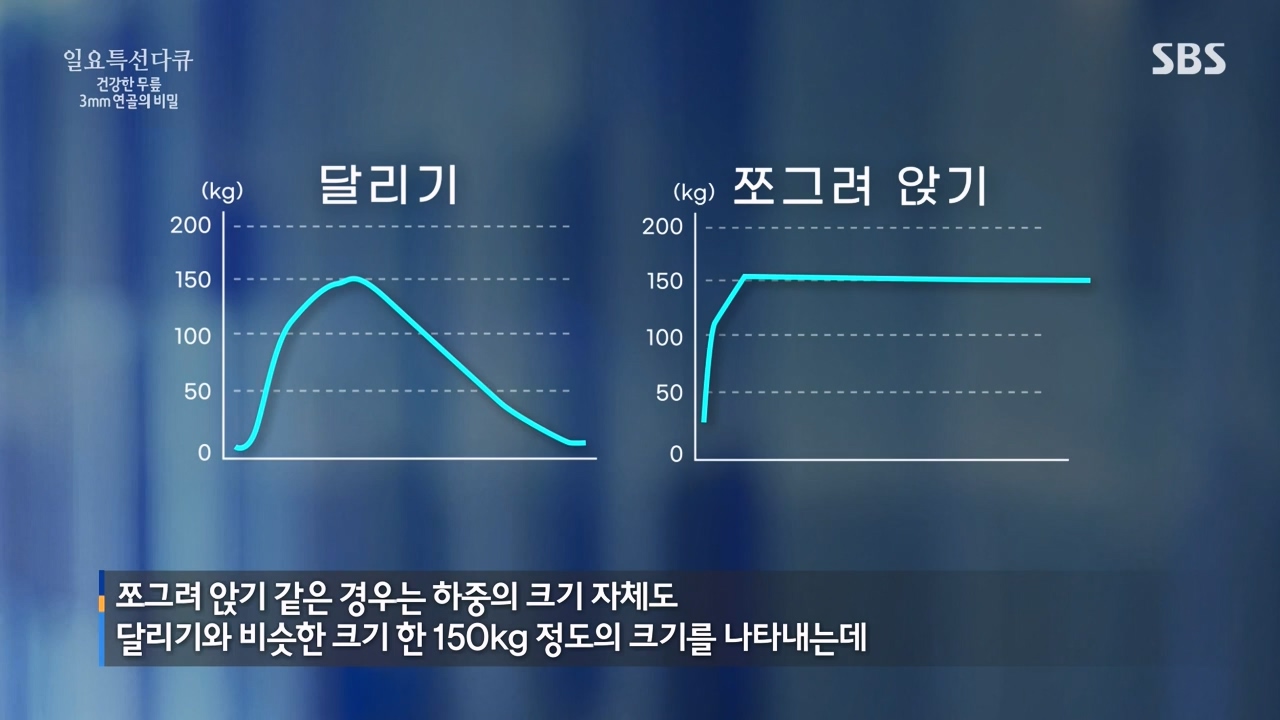 일요특선 다큐멘터리.E341.240318p-NEXT.mp4_20240317_190302.084.jpg