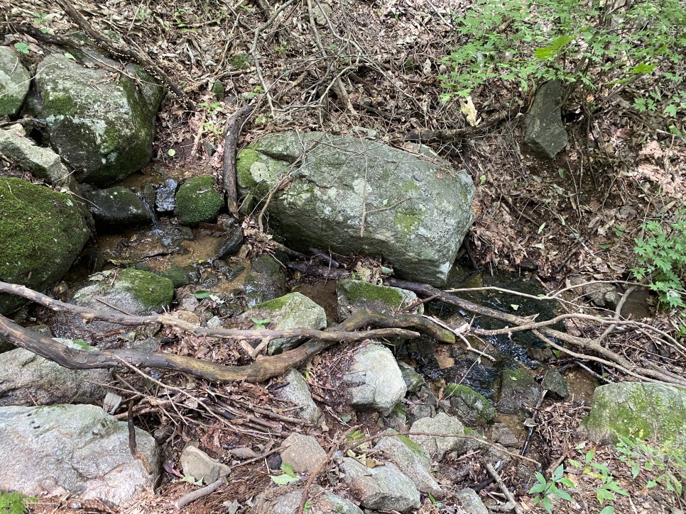 홍길동이 다녀간 11