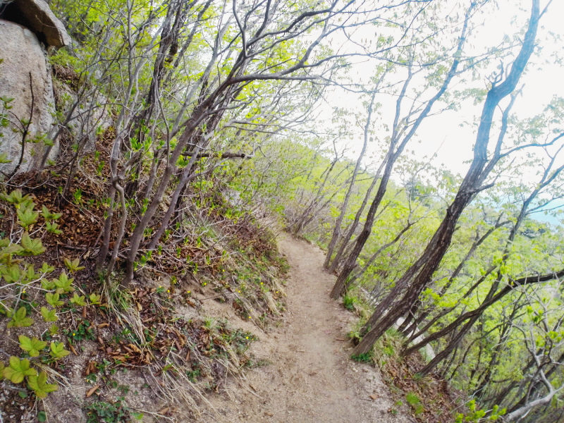 한국 명산 경기 가평 운악산 등산 mountain hiking