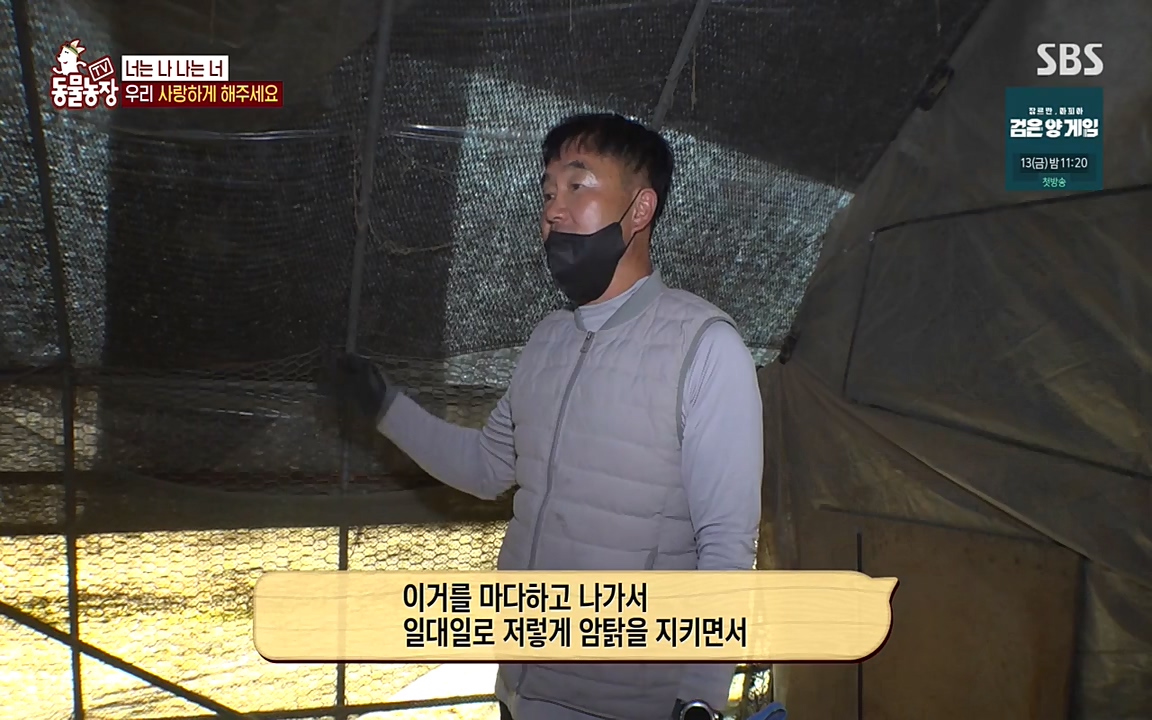 TV 동물농장.E1068.220509p-NEXT.mp4_20220508_173819.190.jpg