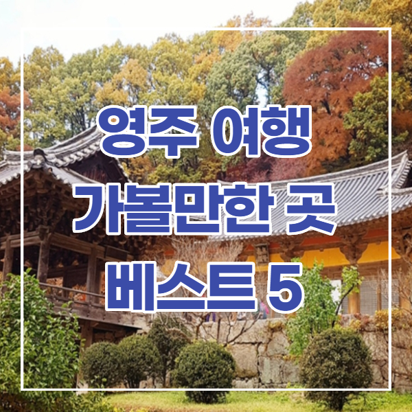 영주 가볼만한 곳 추천