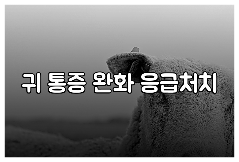 귀 통증 완화 응급처치