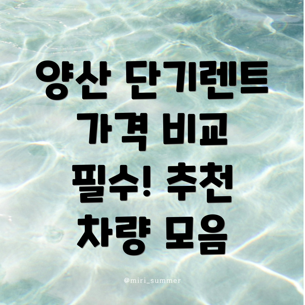 단기렌트카