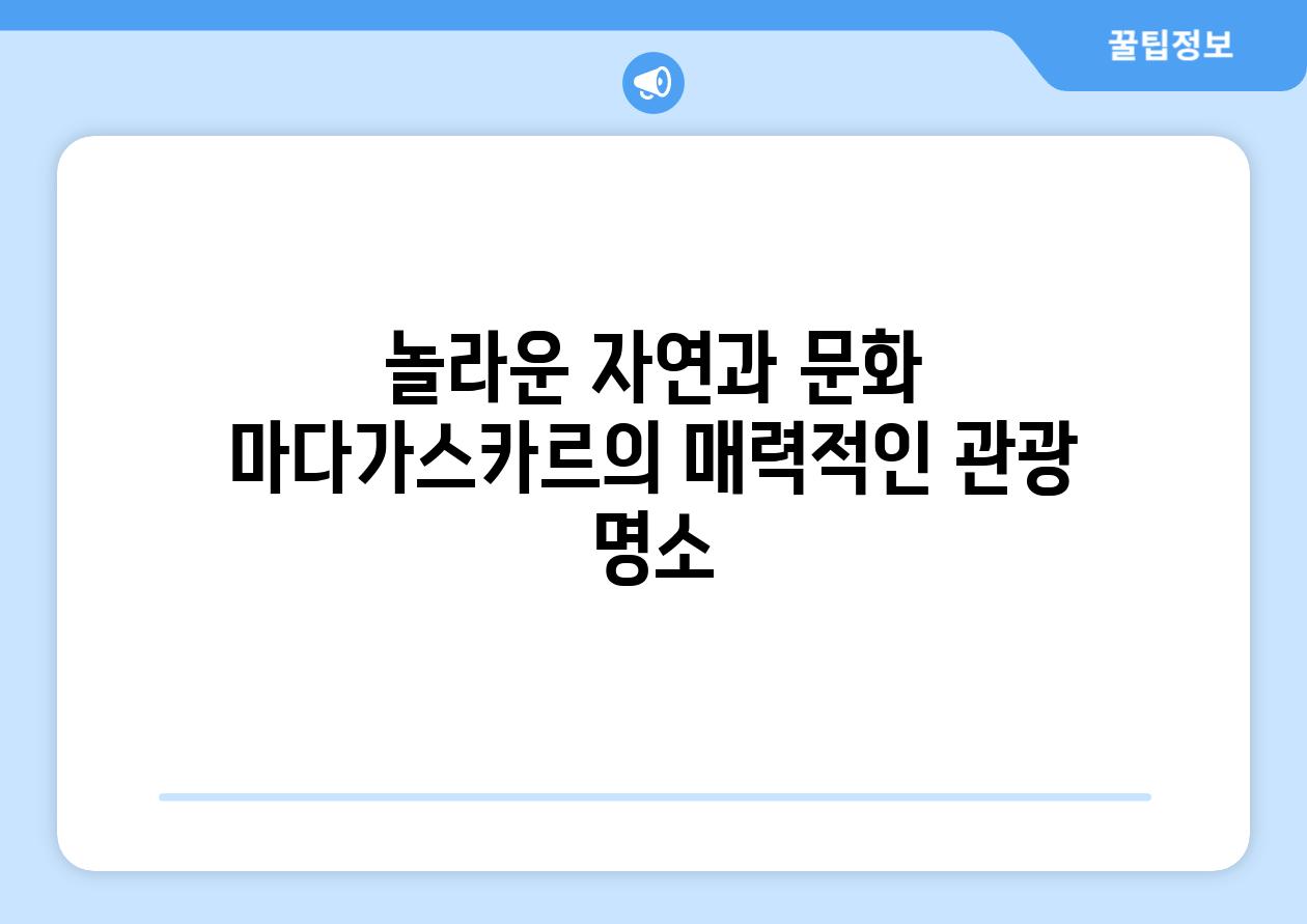 놀라운 자연과 문화 마다가스카르의 매력적인 관광 명소