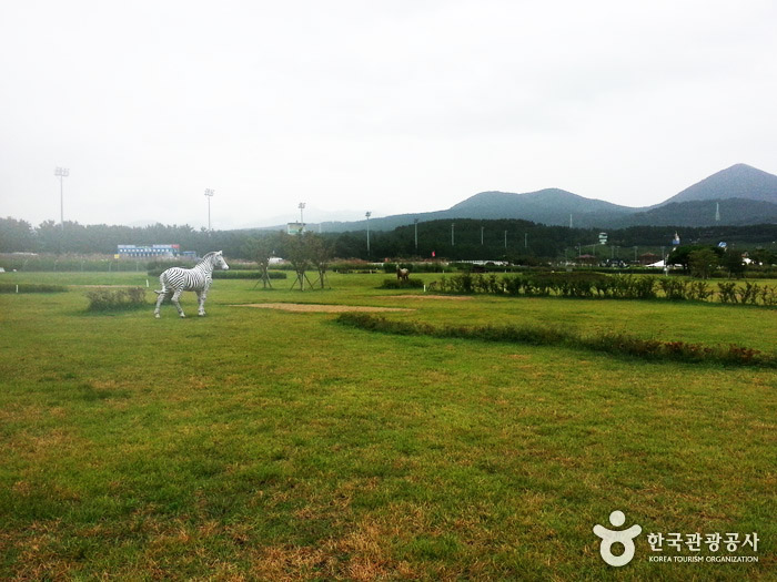 제주도 애월읍 렛츠런파크 파크골프장 소개 (렛츠런파크 제주말 테마파크 골프장)