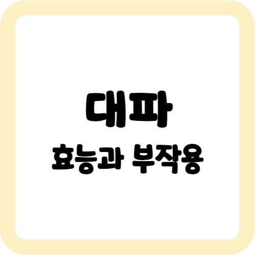 대파의 효능과 부작용