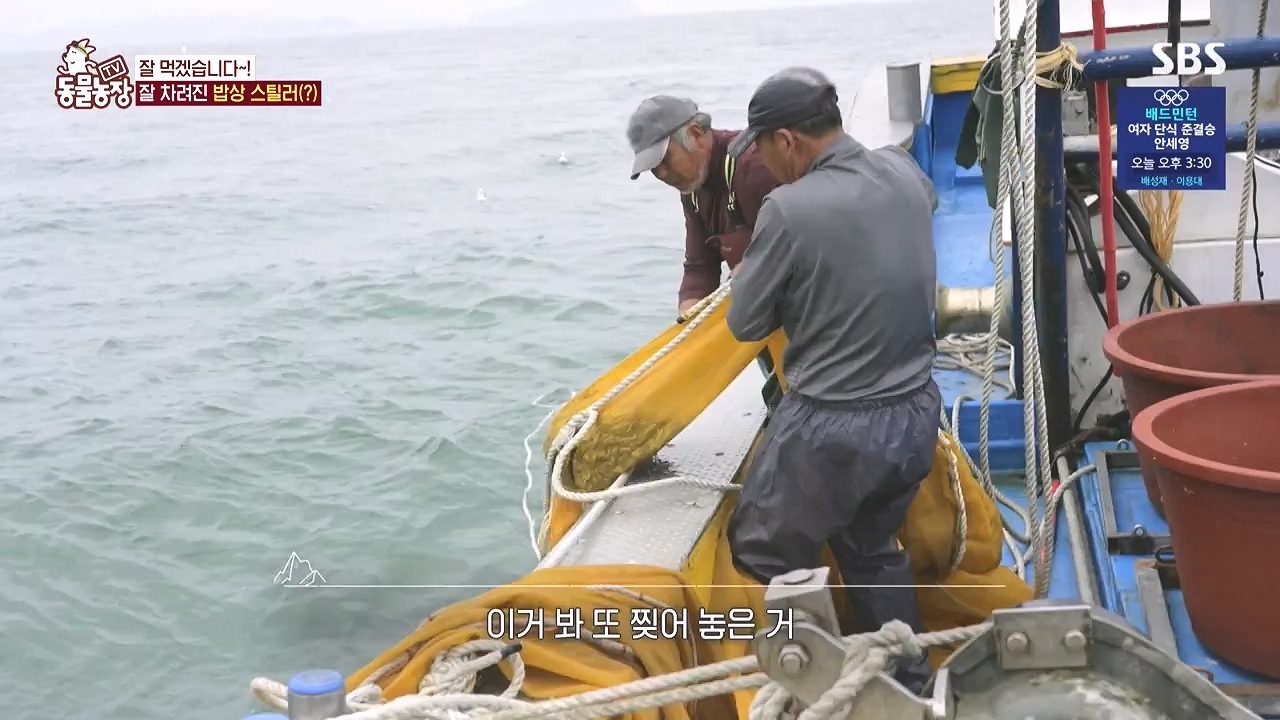 TV 동물농장.E1183.240805p-NEXT.mp4_20240804_154957.045.jpg