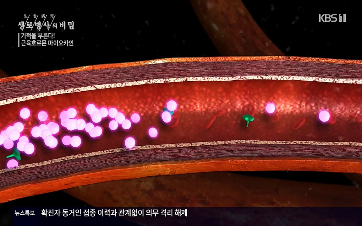 생로병사의 비밀.E816.220331p-NEXT.mp4_20220331_185200.826.jpg