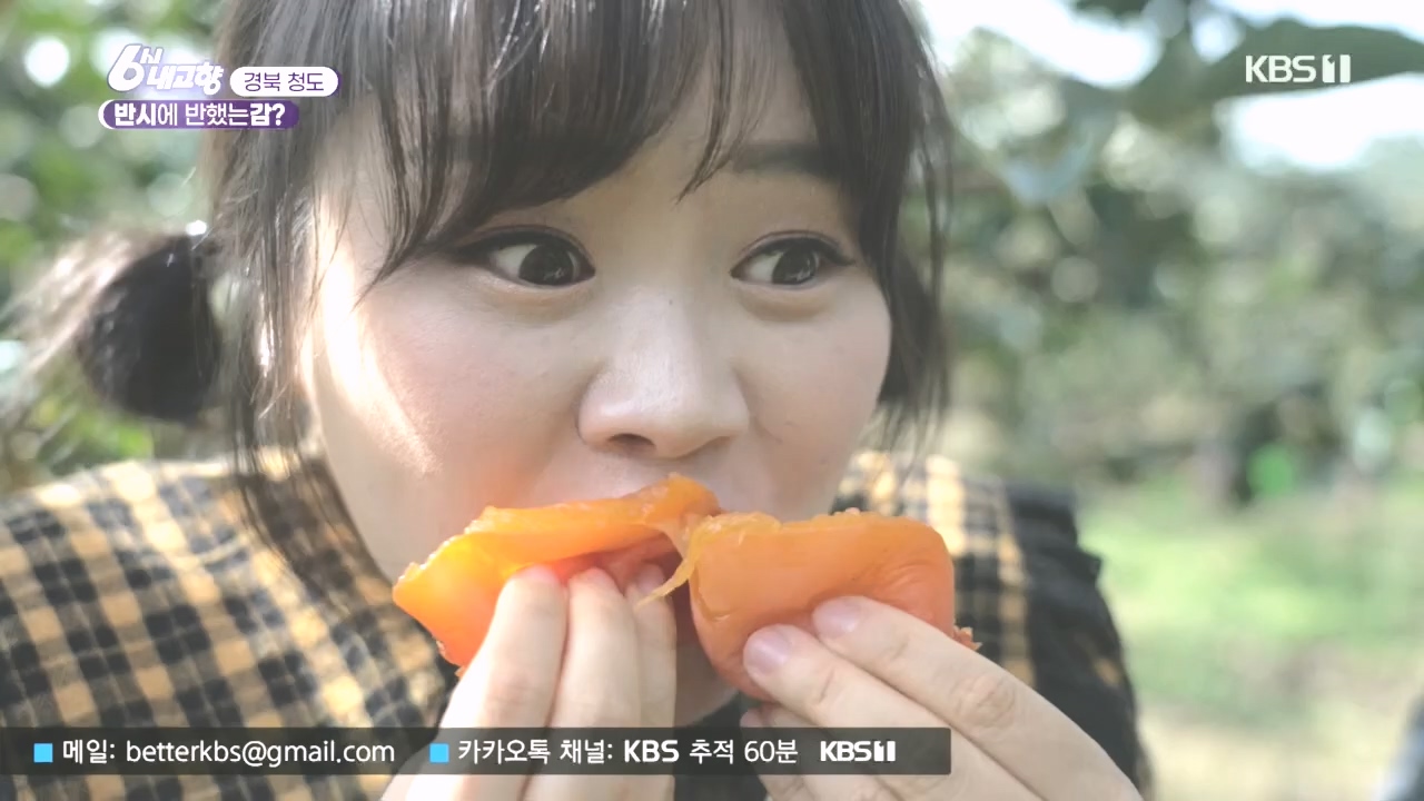 6시 내고향.E7896.231024p.H264-F1RST.mp4_20231024_204848.171.jpg