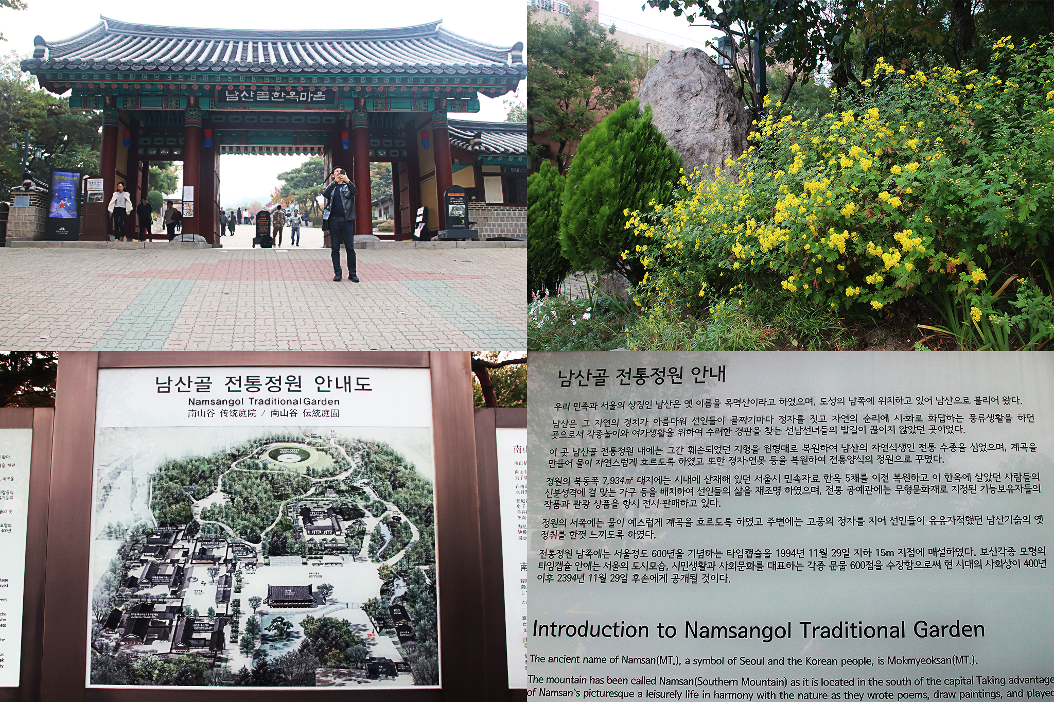 남산조경 이미지