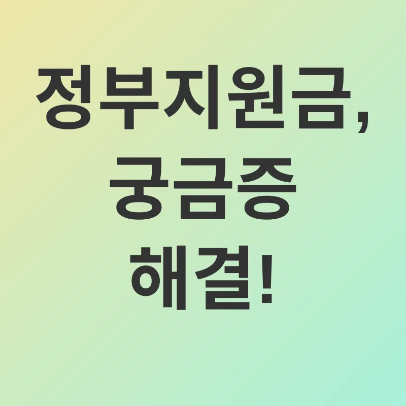 정부지원금_4