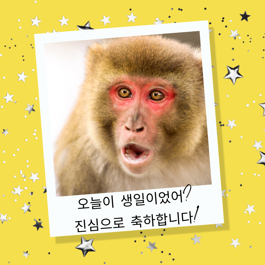 생일 축하 메세지 문구 인사말 이미지 모음