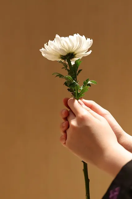 장례 위로예배 기도문 묵상 해석_2