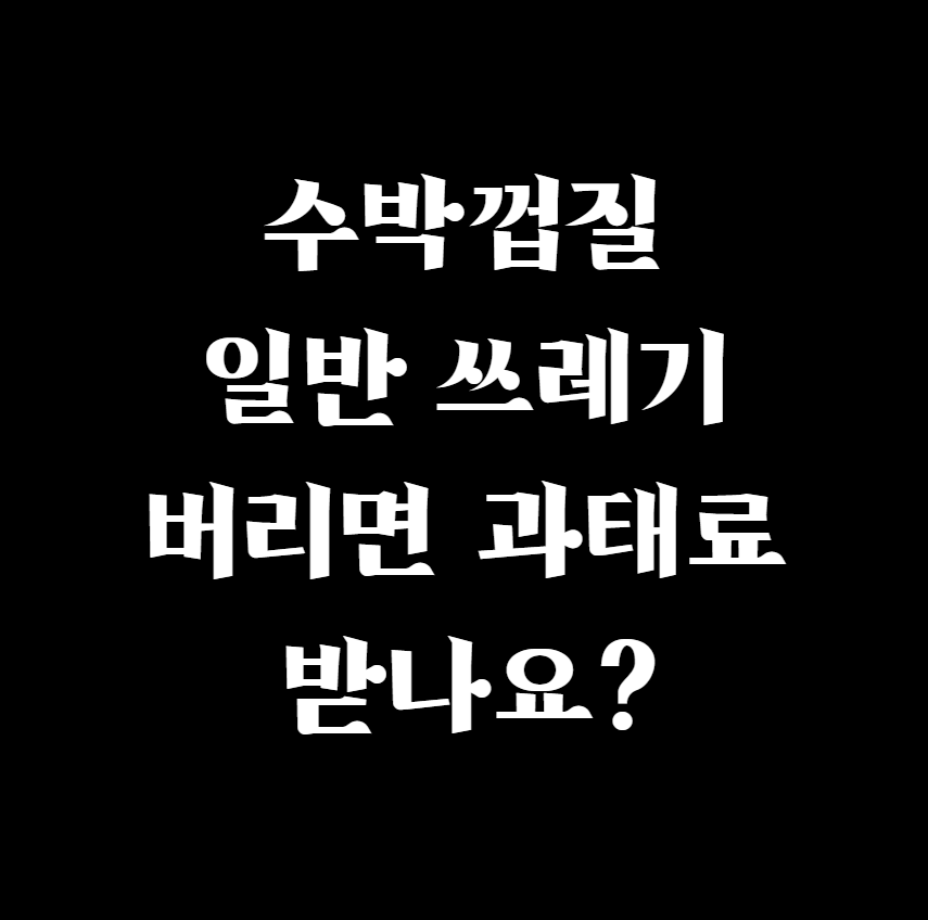 수박껍질 일반 쓰레기 버리면 과태료 받나요?