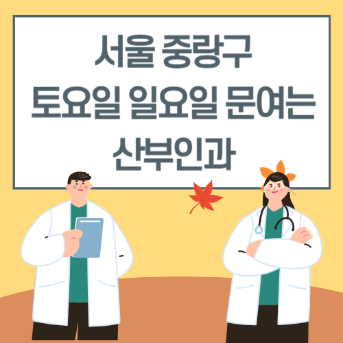 서울 중랑구 토요일 일요일 산부인과 진료 병원 리스트