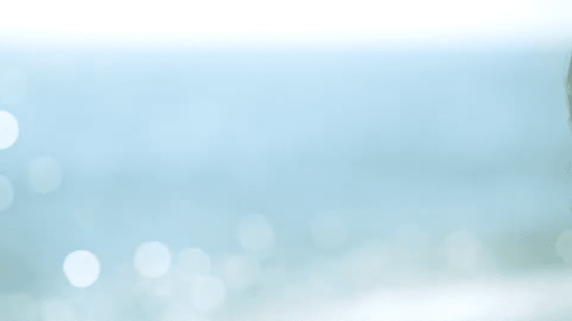 img.gif