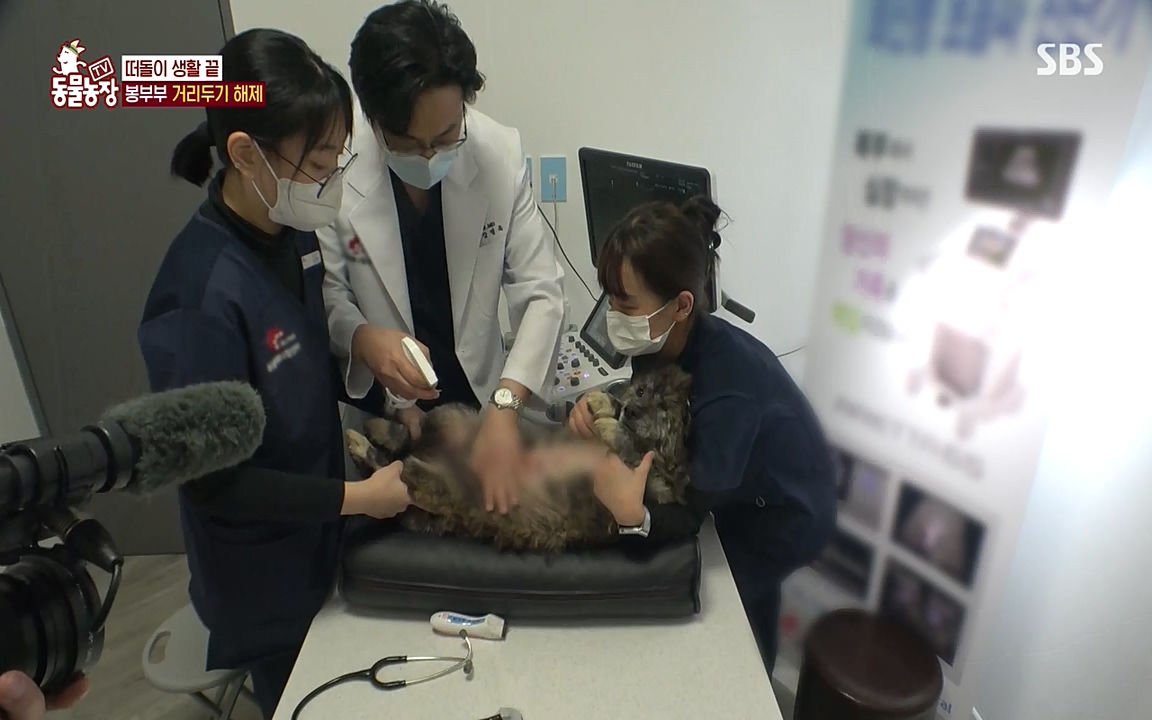 TV 동물농장.E1070.220523p-NEXT.mp4_20220522_182038.995.jpg