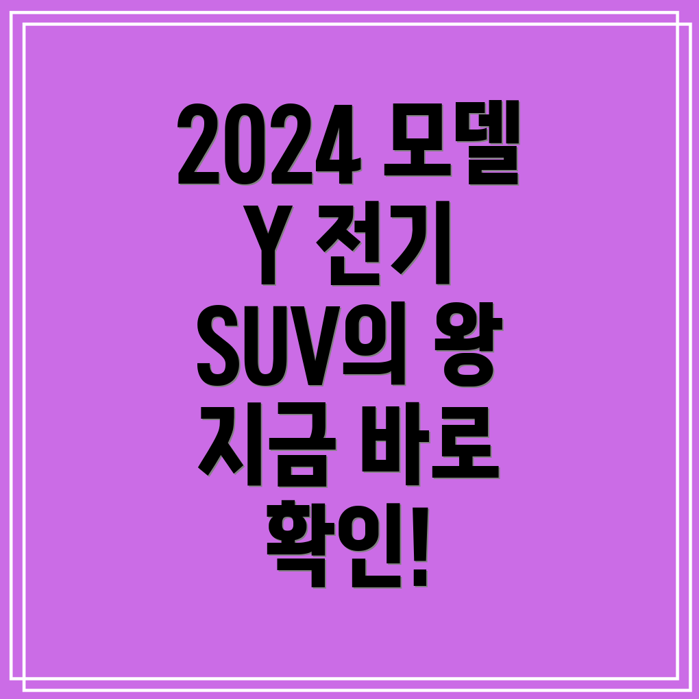 테슬라 2024 모델 Y