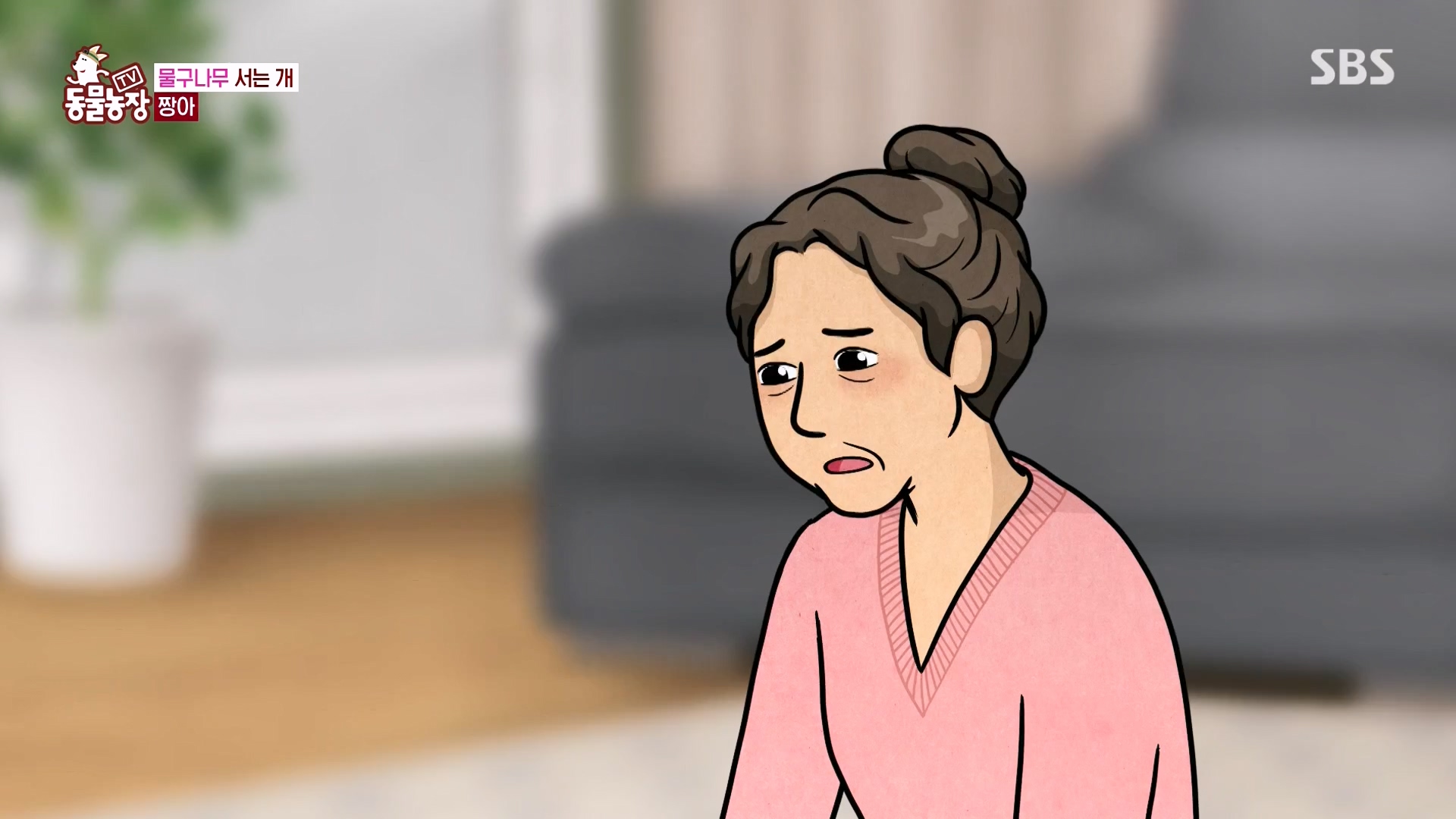 TV 동물농장.E1157.240204p-NEXT.mp4_20240204_172408.909.jpg