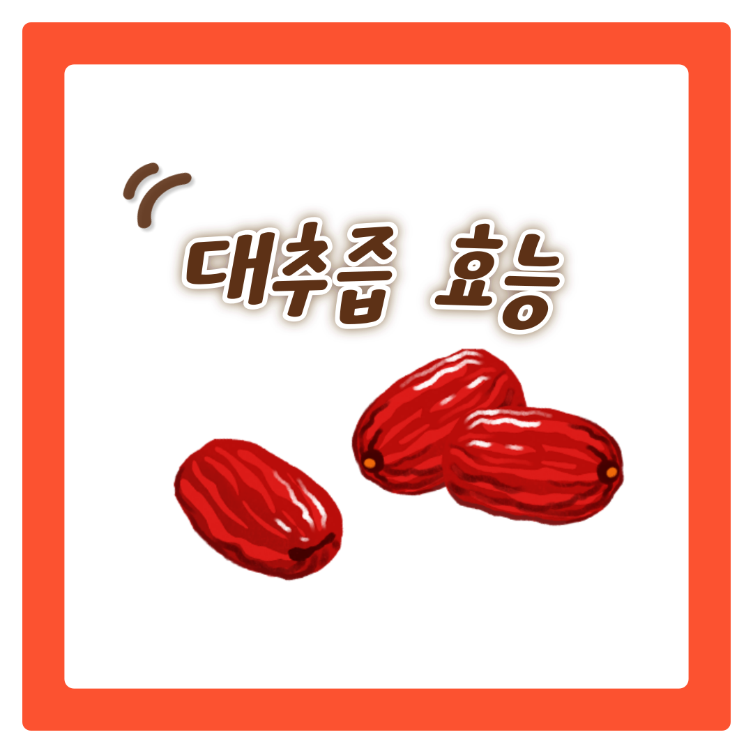  피로회복 피부에도 좋은 대추즙 효능