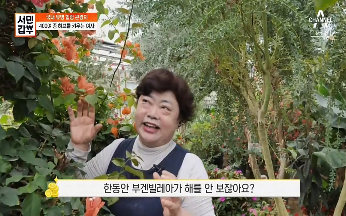 서민 갑부.E380.220424p-NEXT.mp4_20220424_182034.780.jpg