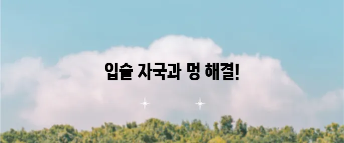 입술 자국 지우기 방법과 멍 제거 팁을 지금 만나보세요!