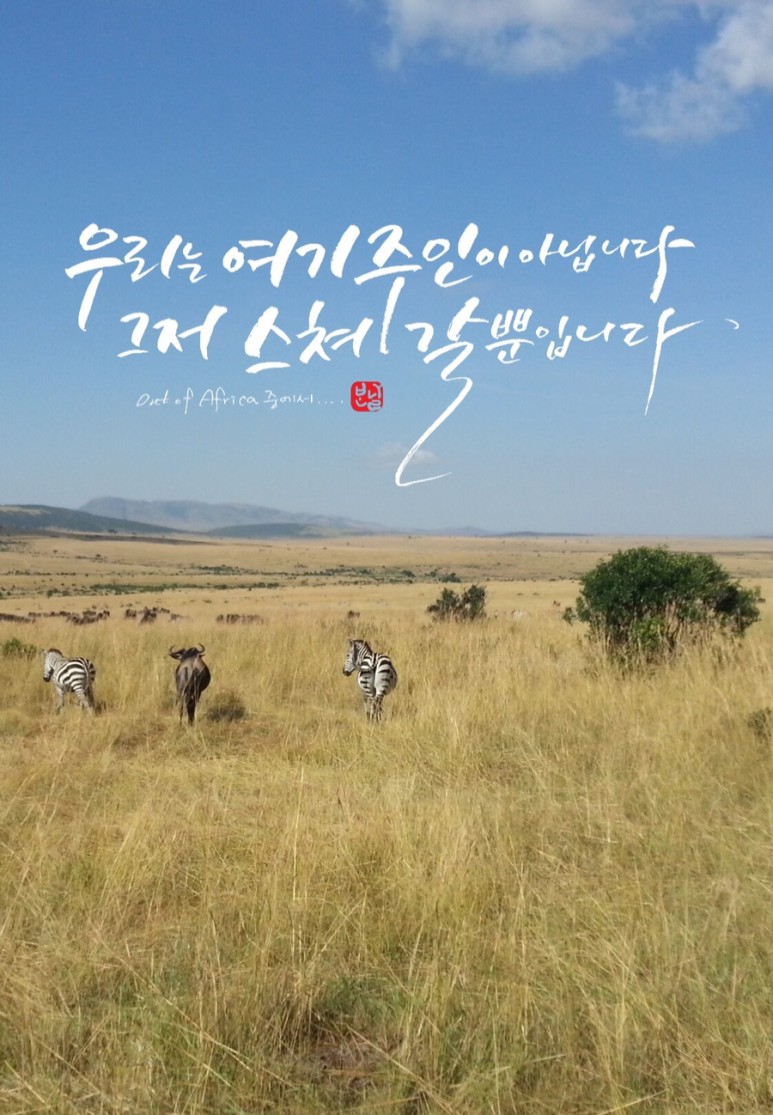 오브 아프리카 [하루 캐리] 아웃 2