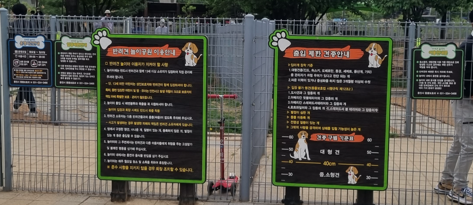 용인 반려견 놀이터