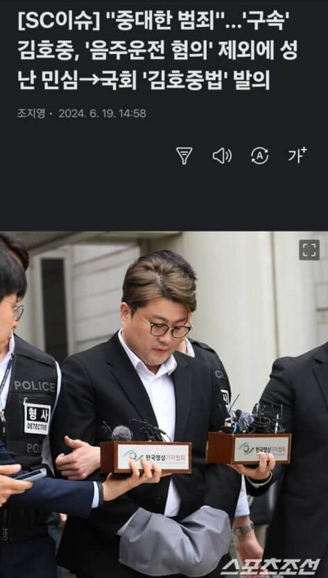 김호중 사법방해 사건, 형집행까지 전반적 경과와 이슈