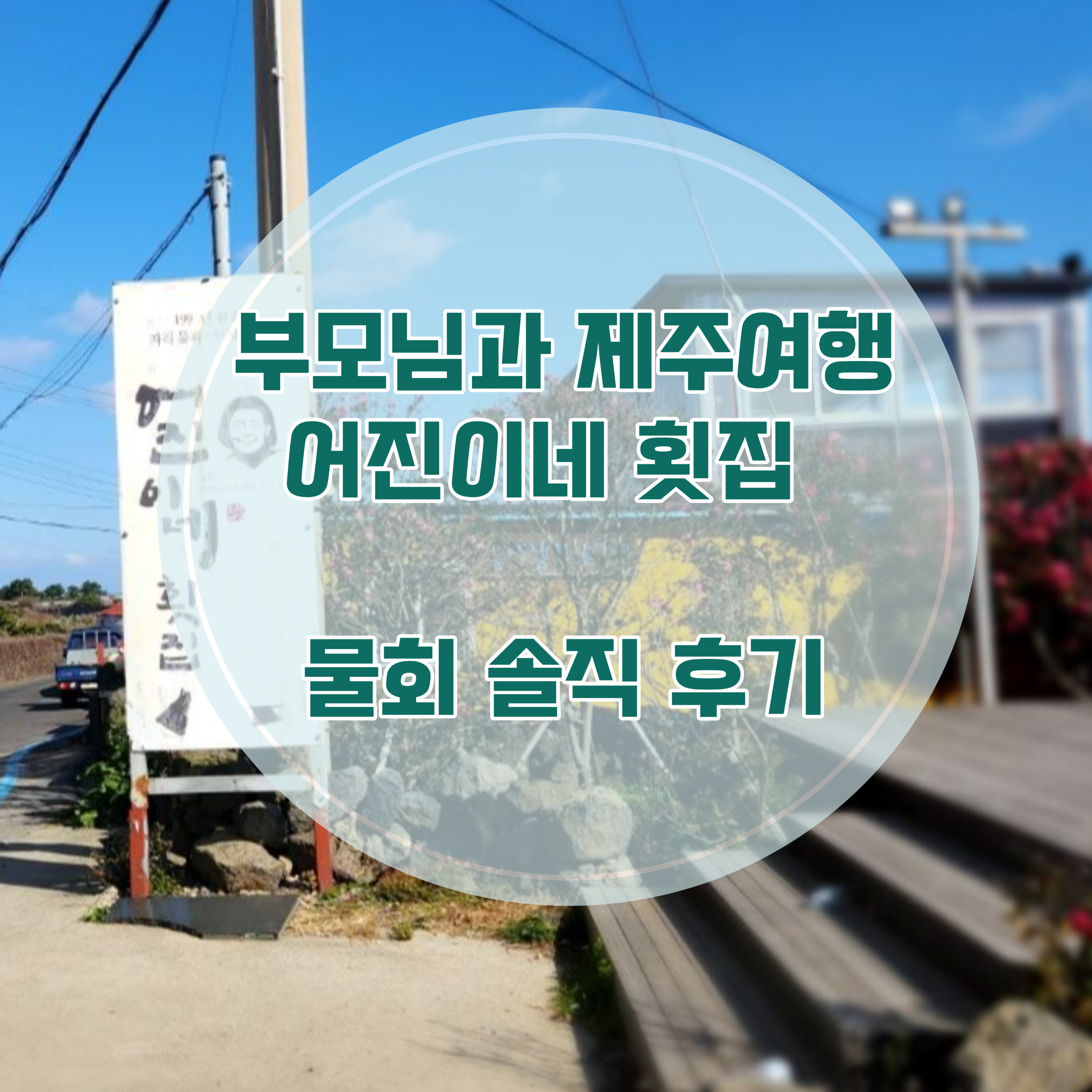  부모님과 제주도 여행 쇠소깍 근처 맛집 어진이네 횟집 자리물회 한치물회 후기