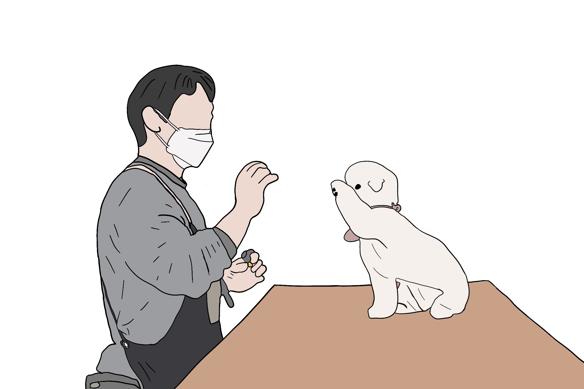  생활 속에서 똑똑한 댕댕이 만드는 법