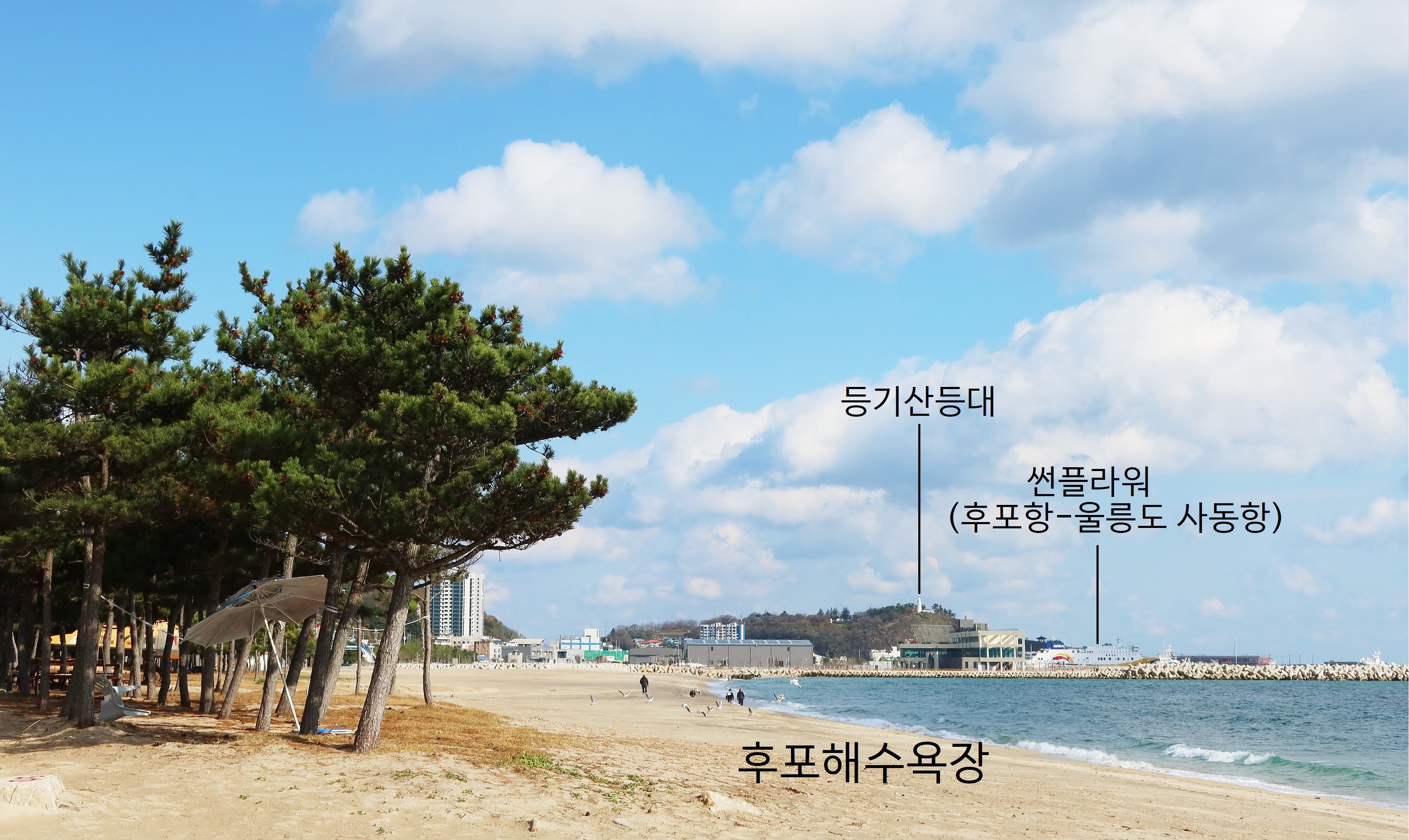 후포항 이미지