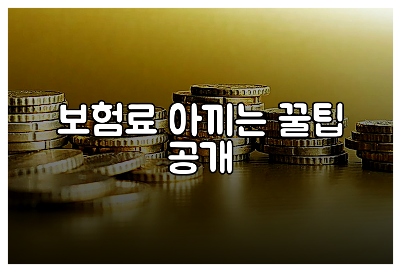 보험료 아끼는 꿀팁 공개