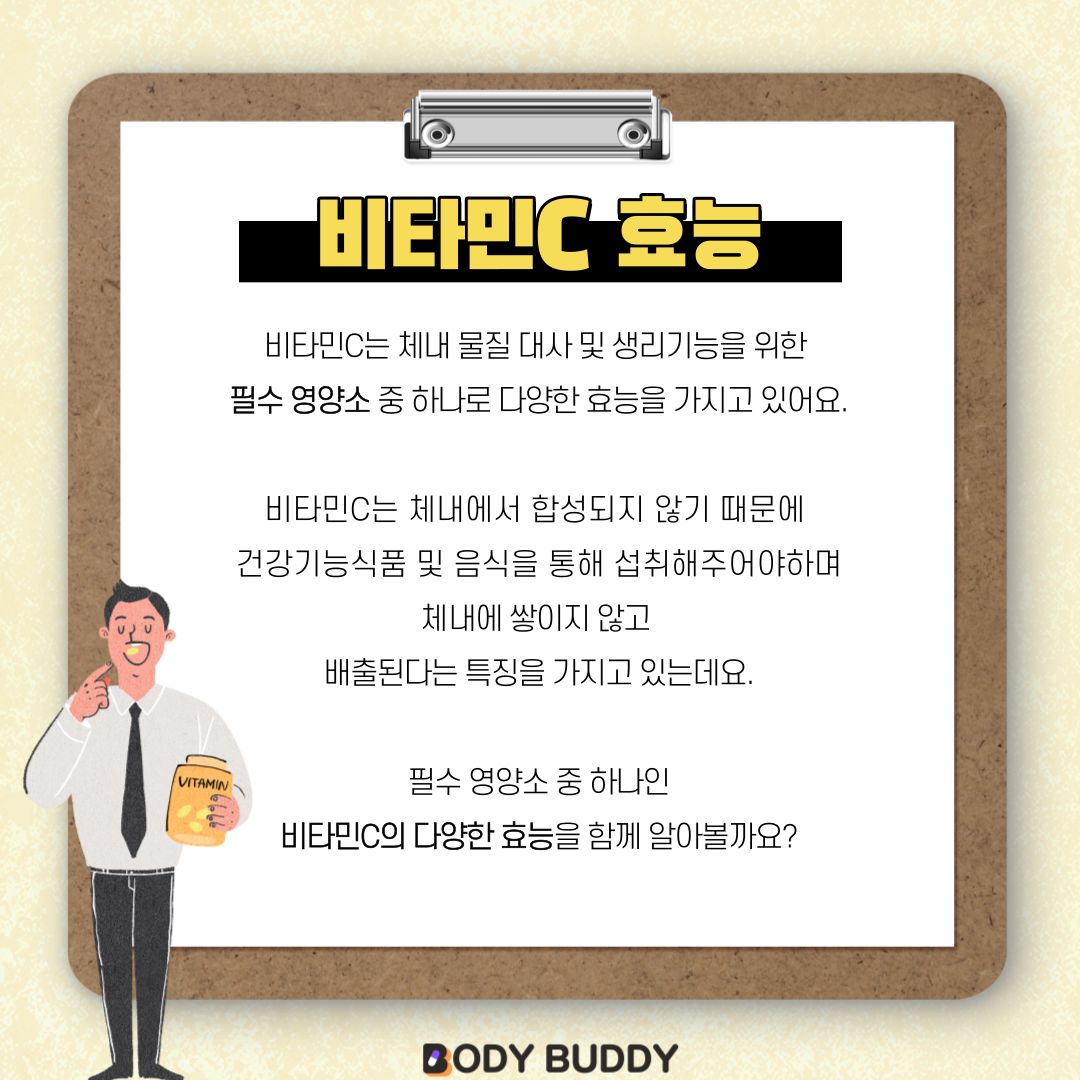 버디바디 이미지