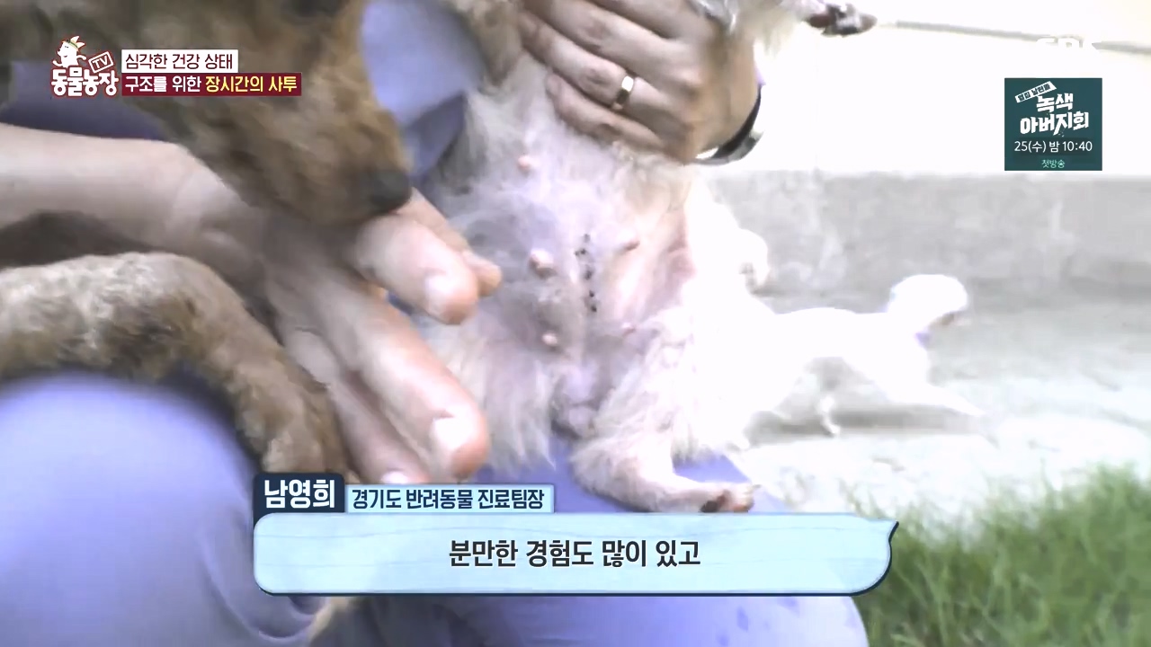 TV 동물농장.E1142.231023p-NEXT.mp4_20231022_172808.802.jpg