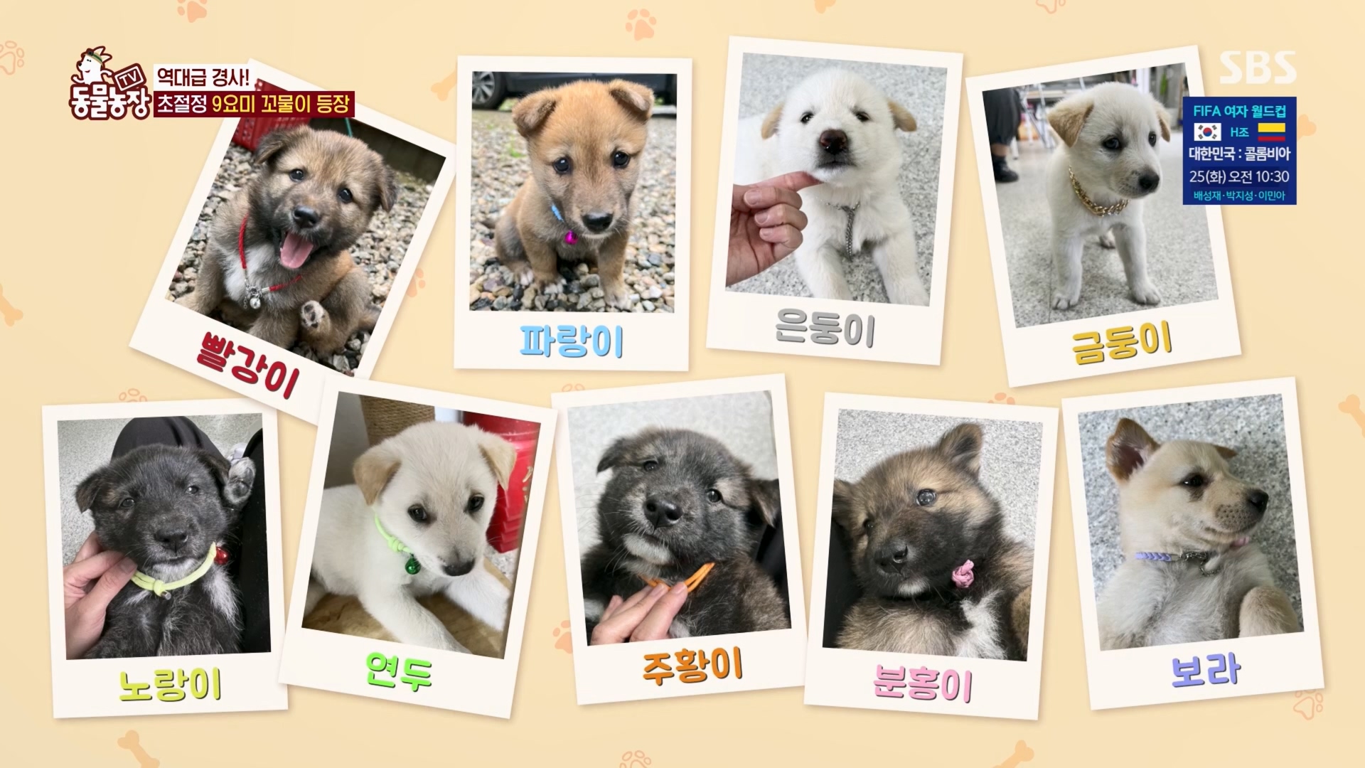 TV 동물농장.E1130.230723p.H264-F1RST.mp4_20230723_171155.545.jpg