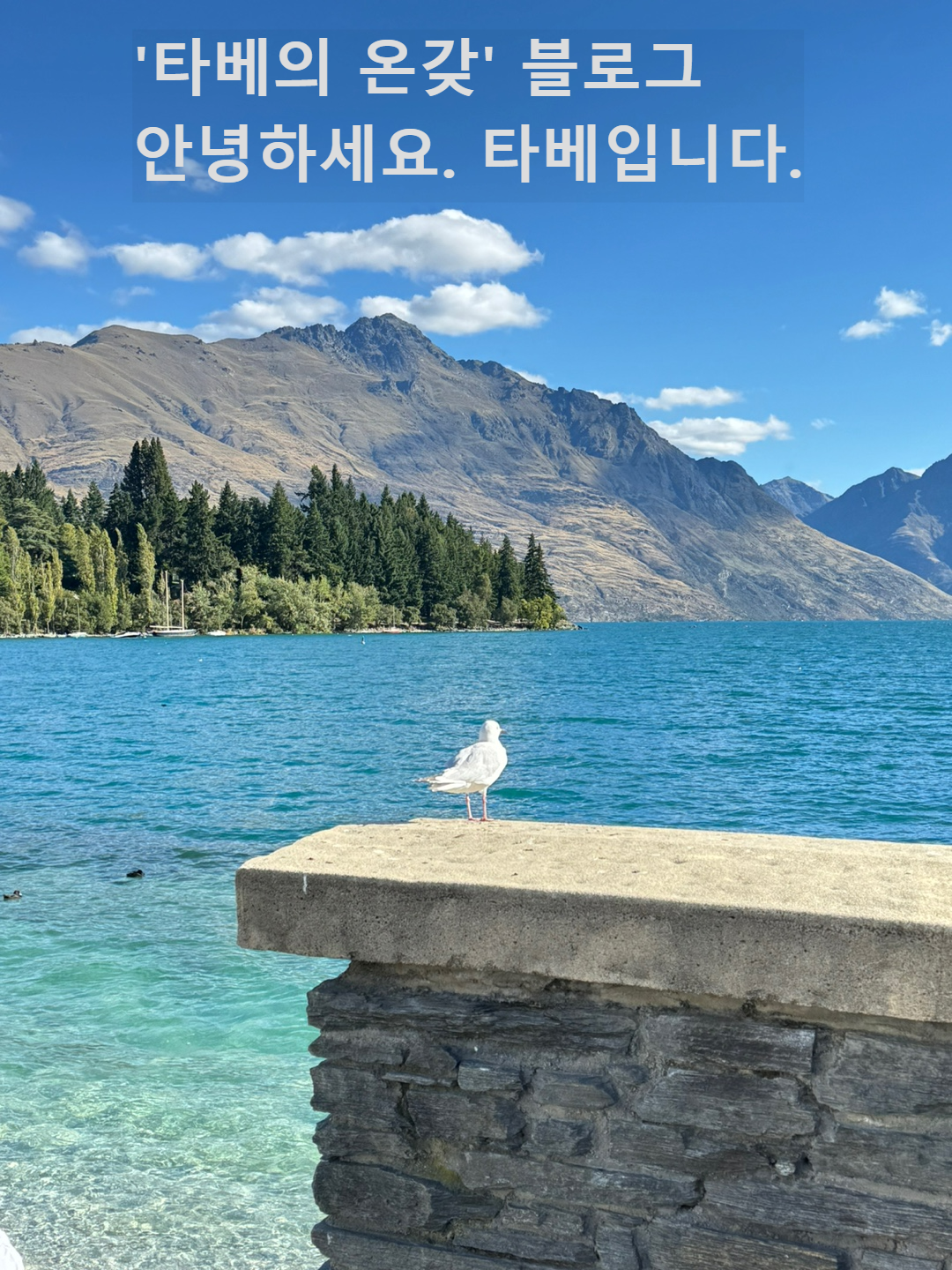 타베 이미지