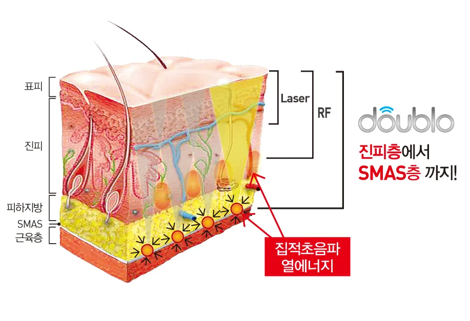 피부 구조와 기능 표피 진피 피하조직 위치 역할_7