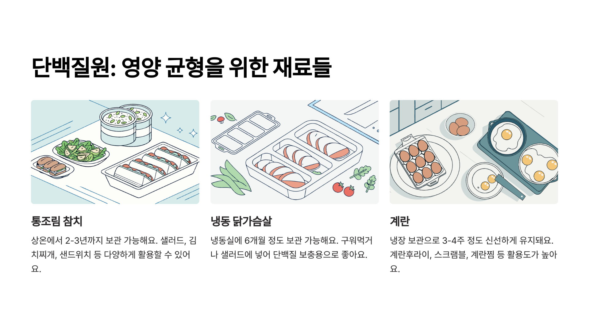 단백질원: 영양 균형을 맞춰주는 든든한 재료들