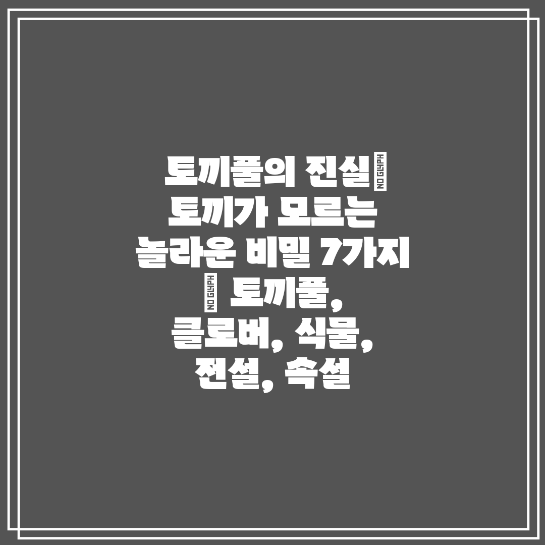  토끼풀의 진실 토끼가 모르는 놀라운 비밀 7가지  토