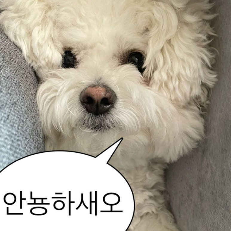 홀리데이민박 이미지