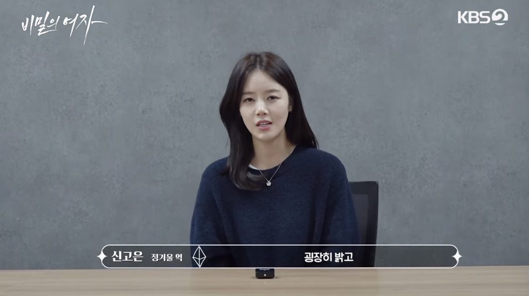 비밀의 여자 출연진 - 정겨울 역 : 신고은