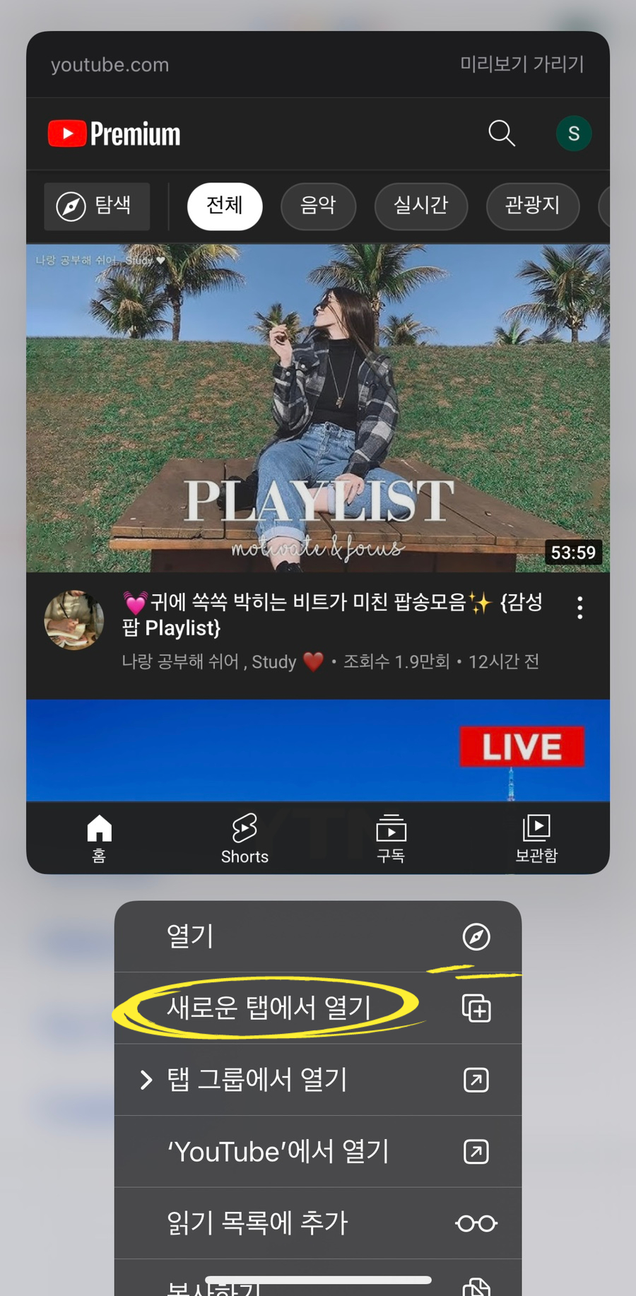유튜브 pip 아이폰 유튜브 작은화면 시청 8