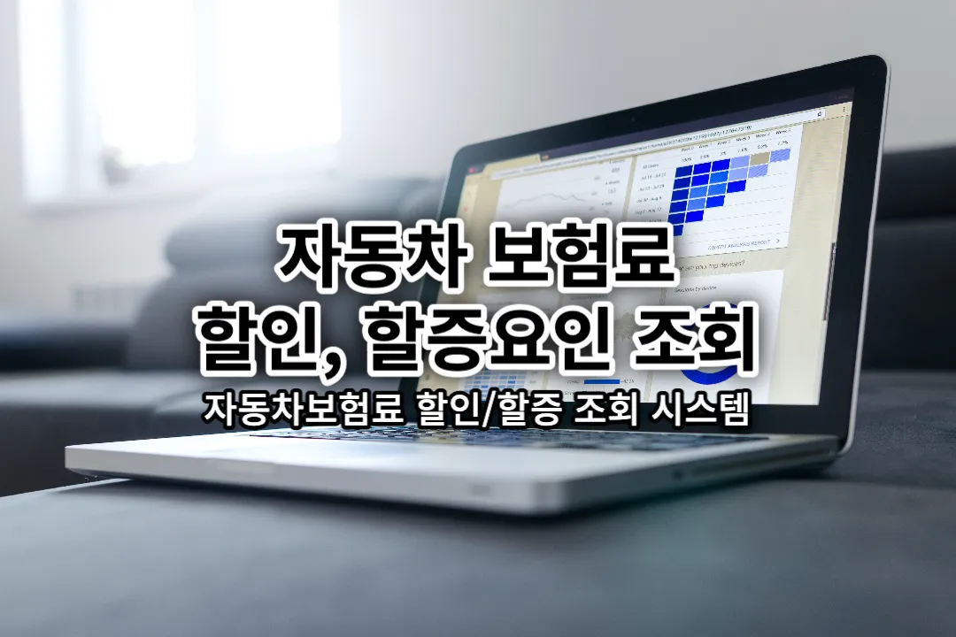 자동차 보험료 할증 조회 시스템 활용