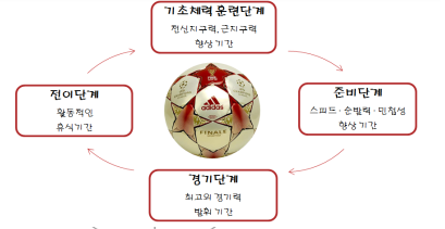  축구 주기화 프로그램