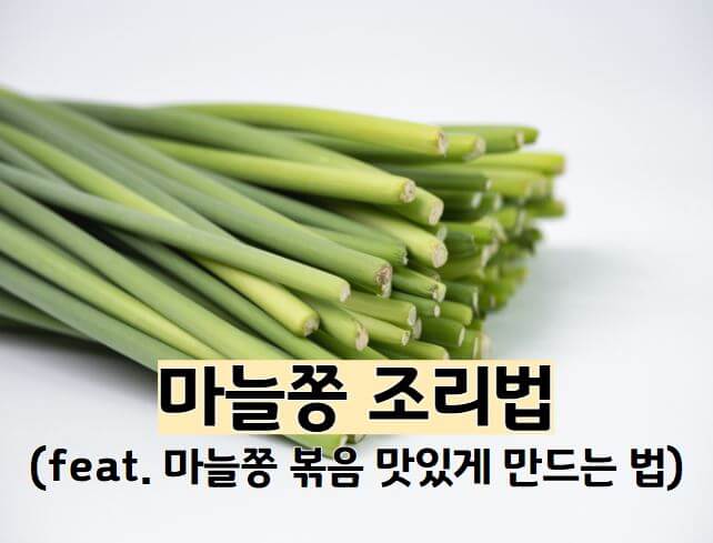 마늘쫑 조리법 : 마늘쫑 볶음 맛있게 만드는 법