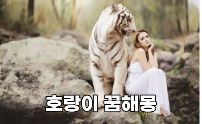 호랑이 꿈해몽