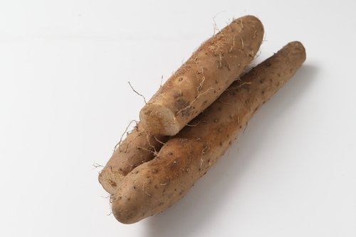 마 효능과 부작용, 요리법 - 마 - 효능 마 효능과 부작용, 요리법 - 마 - 효능