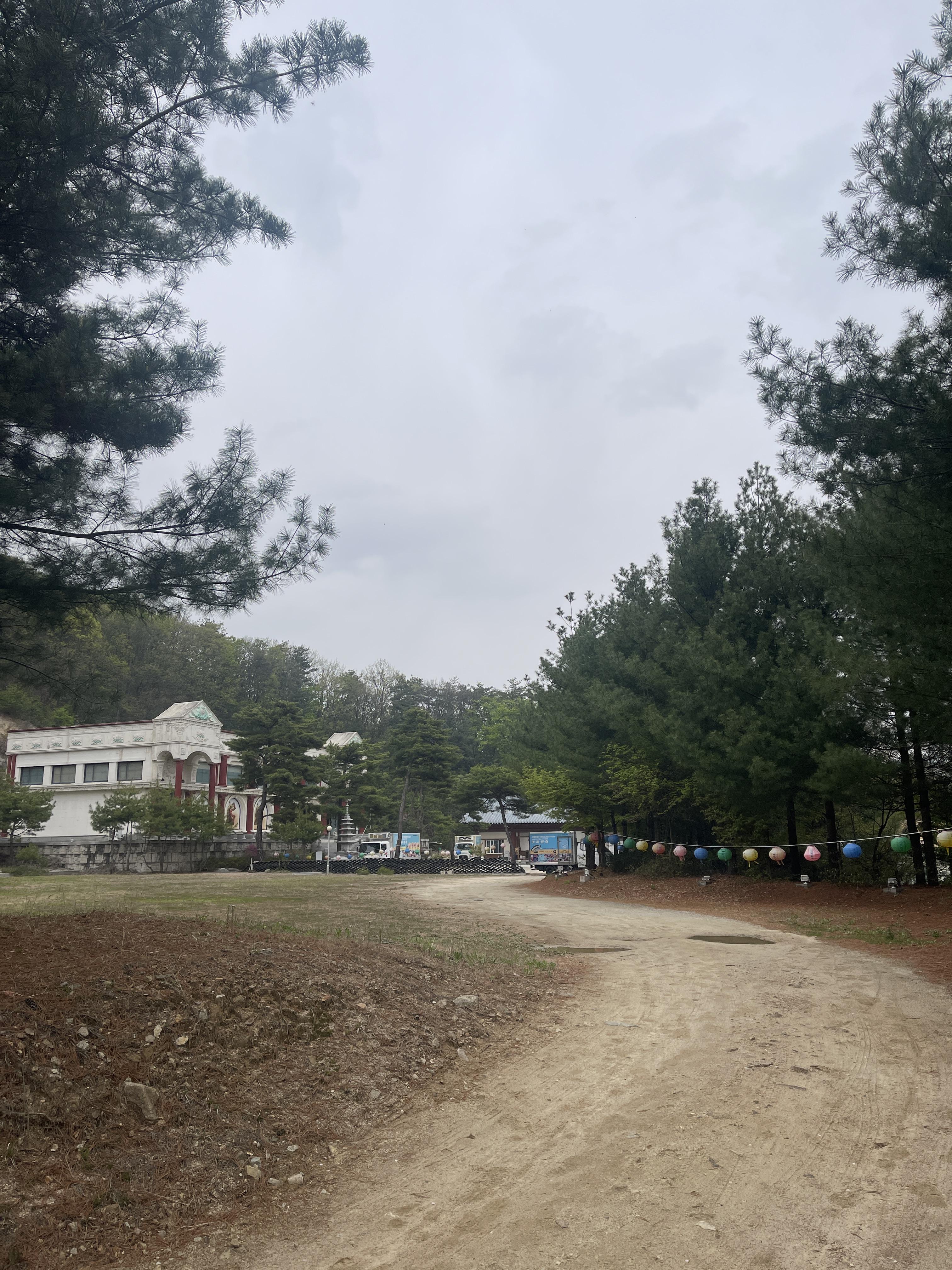 백화사 9